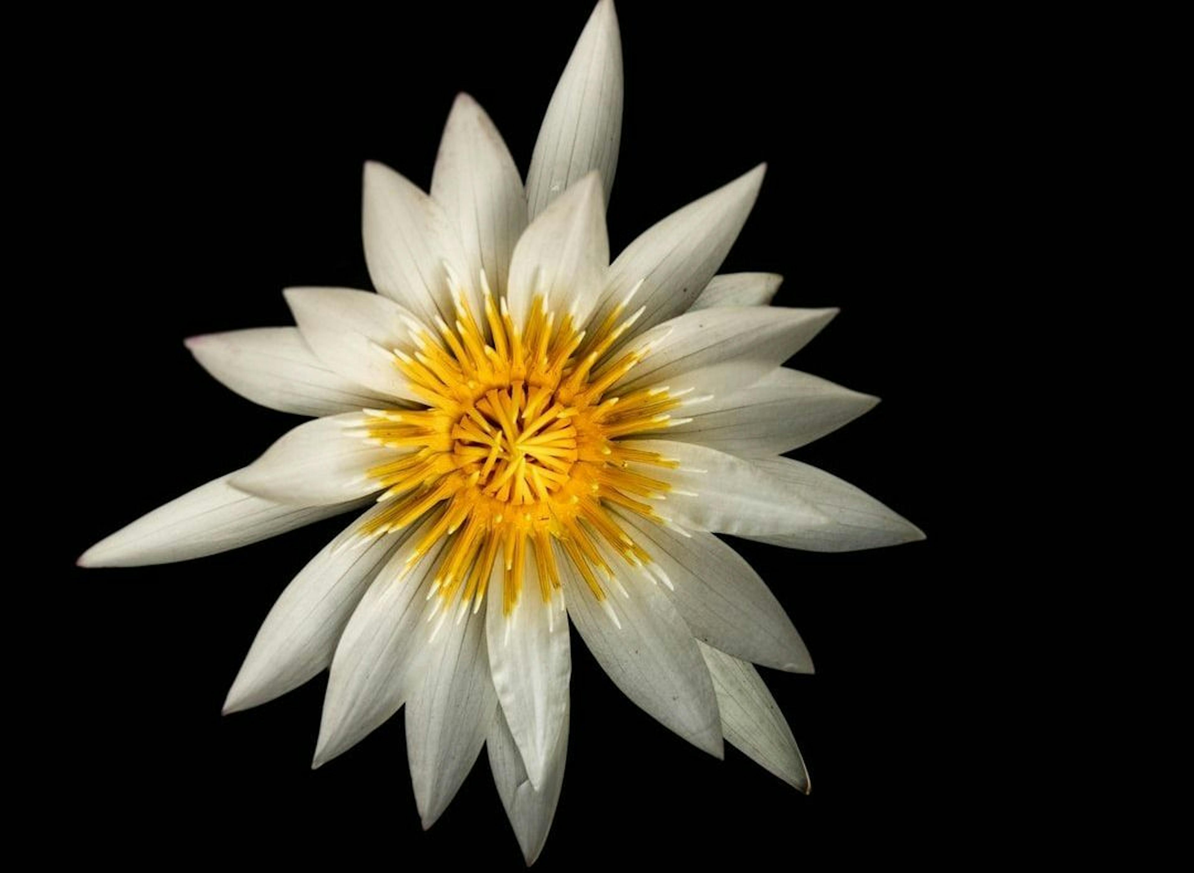 featured image - 6 Levels of Learning in Bloom's Taxonomy from 1D to 2D Realm