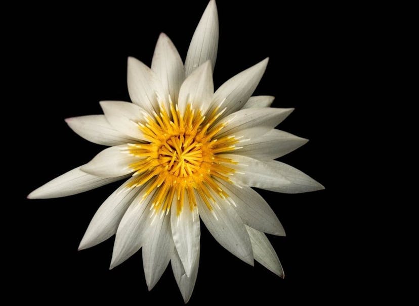 /6-levels-of-learning-in-blooms-taxonomy-from-1d-to-2d-realm feature image