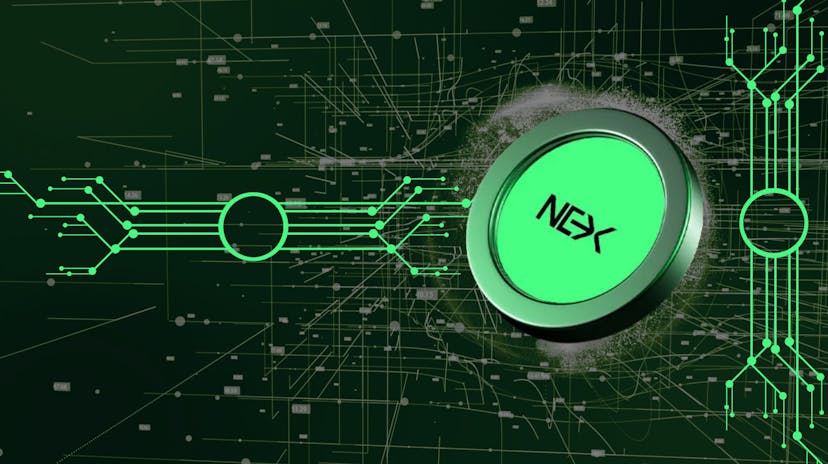 /the-rise-of-hybrid-blockchains-nexchain-and-the-evolving-crypto-landscape feature image