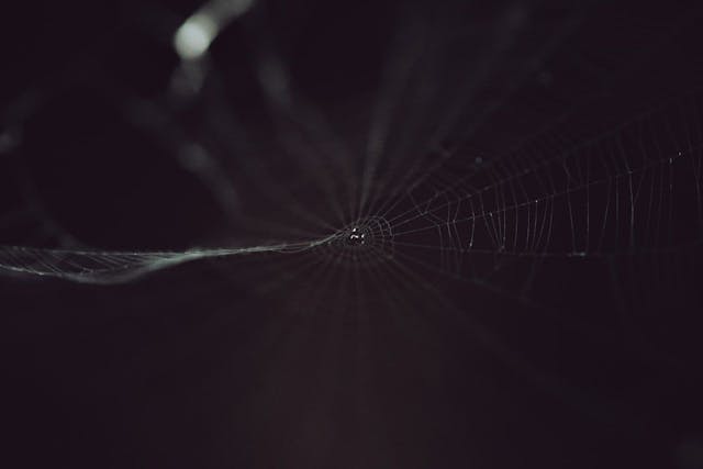 /countering-anonymity-on-the-dark-web-and-addressing-dark-web-cyber-threats-bfi32eg feature image