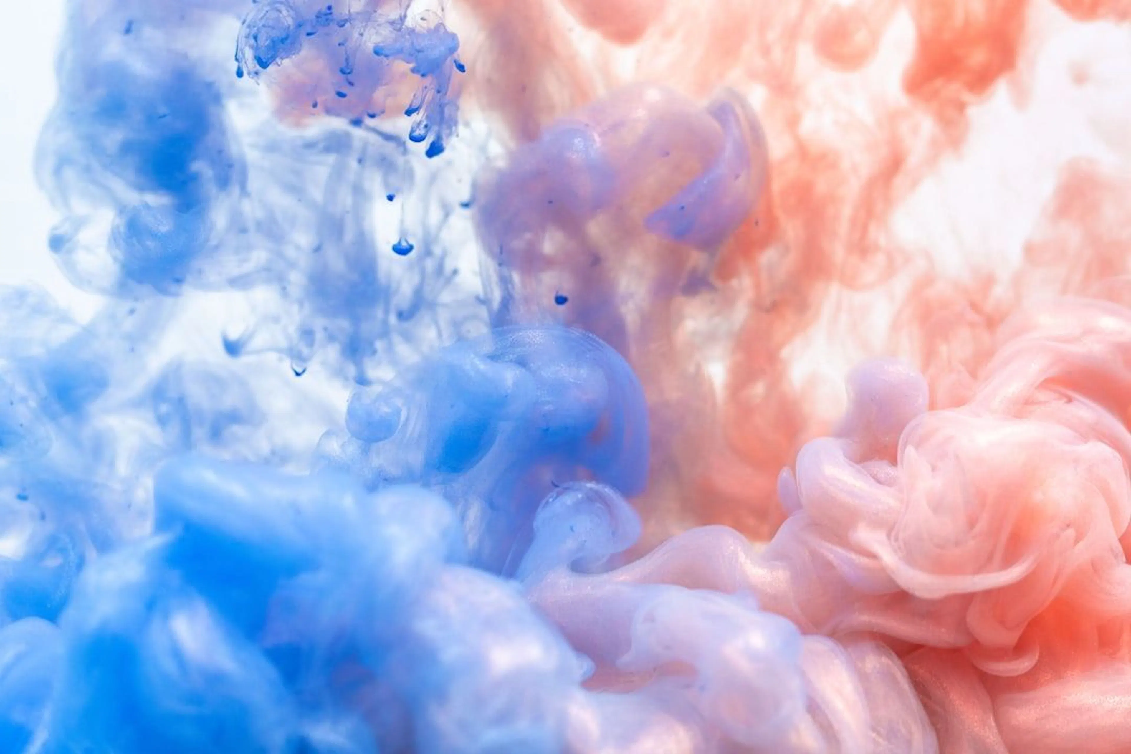 Learn Repo's image-e9599