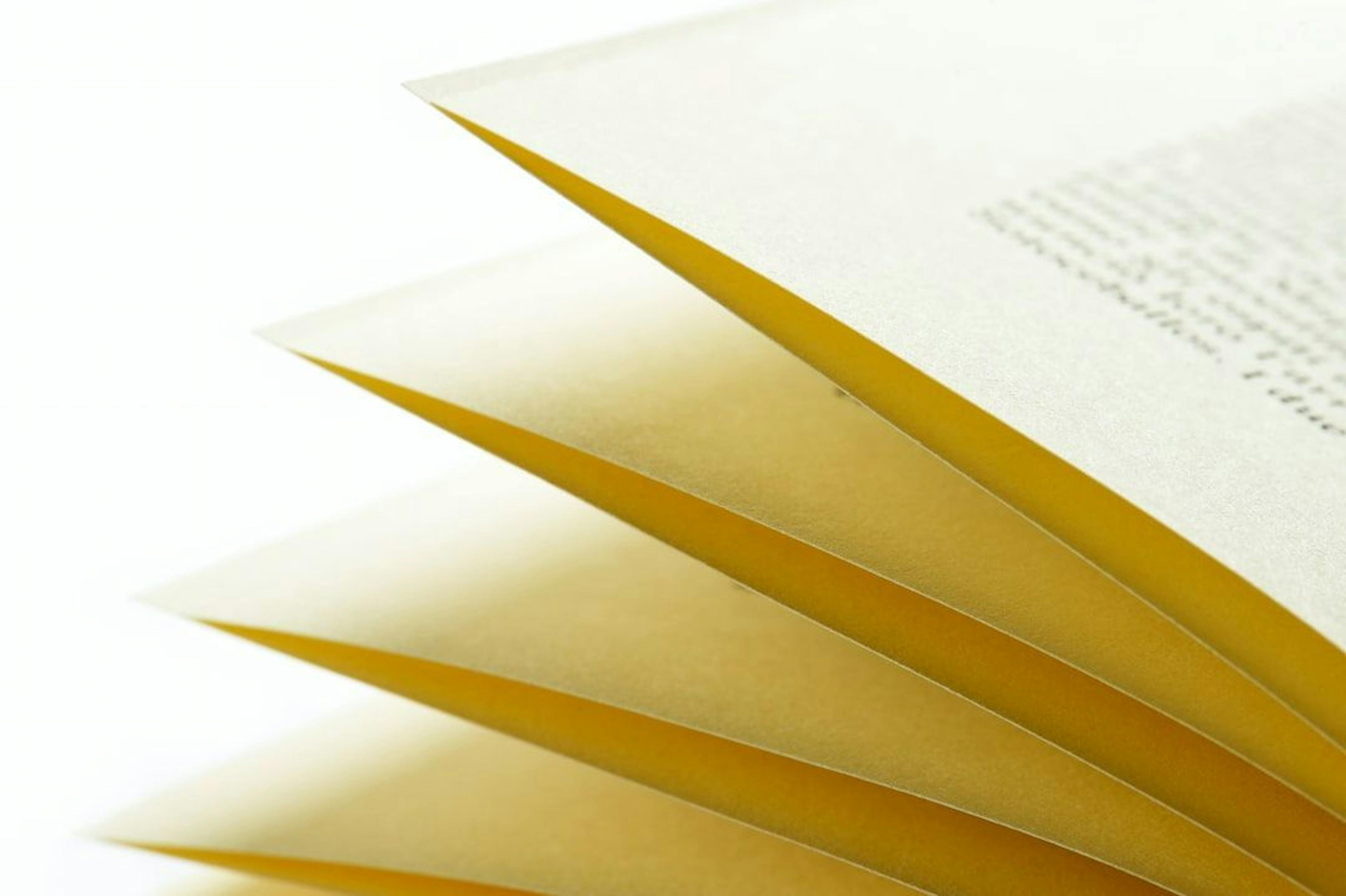 featured image - Curriculum Designer’s Handbook: Top 5 Curriculum Design Models