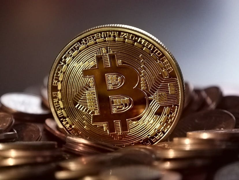 /7-signs-the-bitcoin-bull-phase-is-back feature image