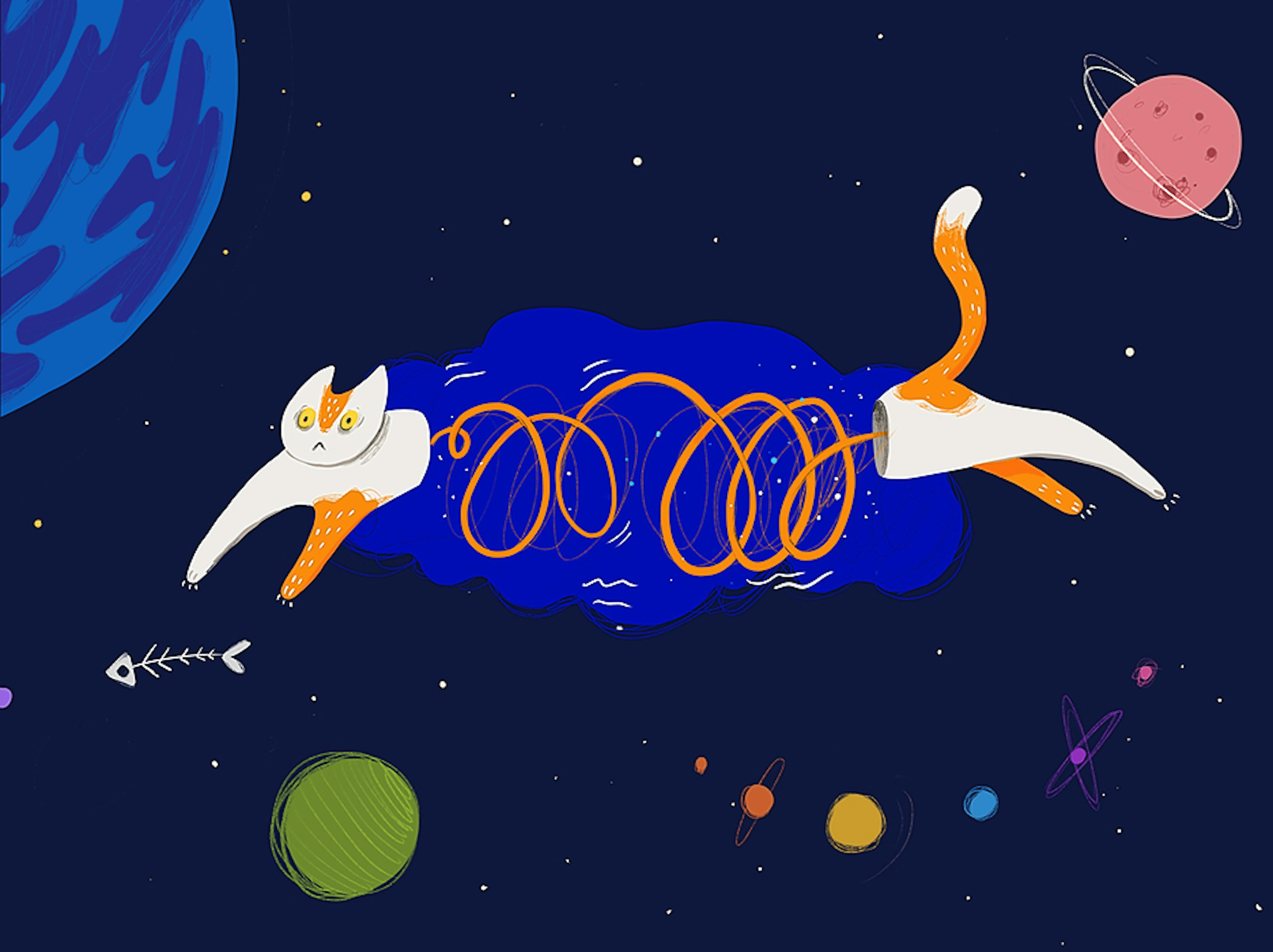 A Deep Dive into Chat Architectures & Chat Engines that Enable You to Send Cat GIFs to Your Friends