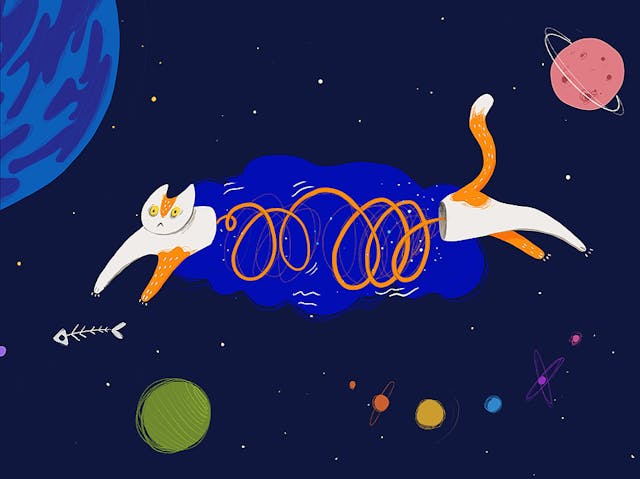 /how-to-send-a-cat-via-a-chat-or-chat-architecture-in-a-nutshell-3o2v32jl feature image