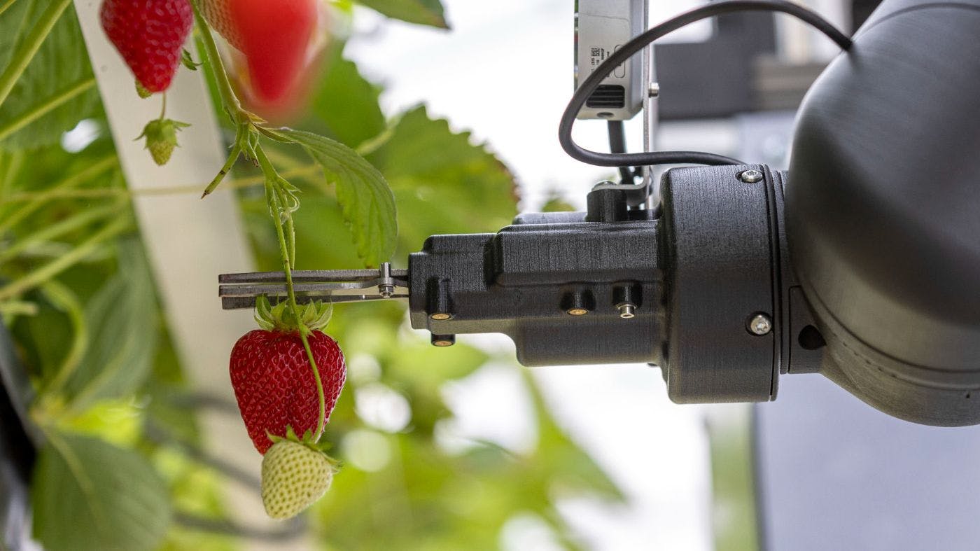 /robotics-in-agriculture-cultivating-the-future feature image
