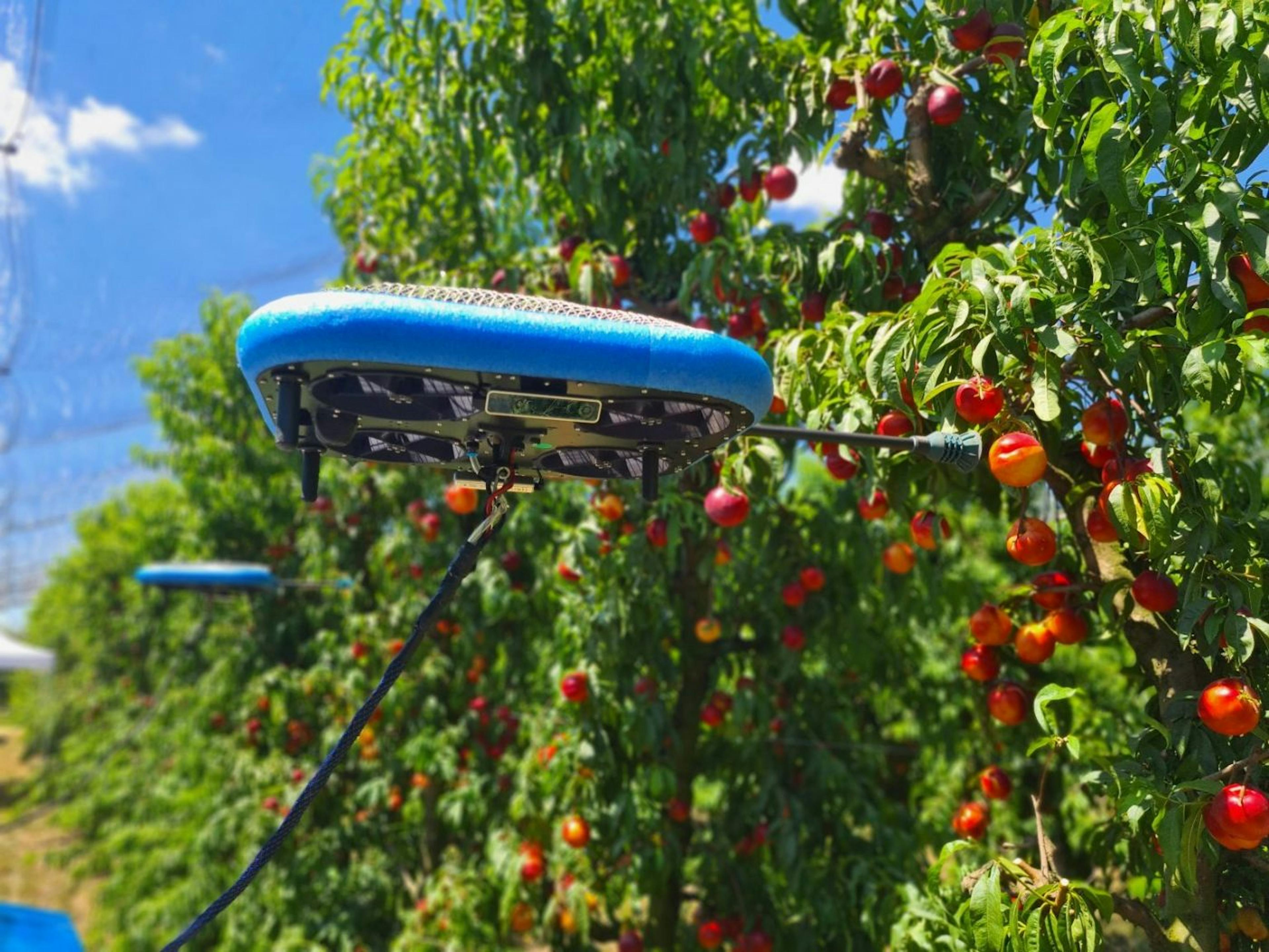 Robotic systems harvesting crops at a rate humans can not compete with.