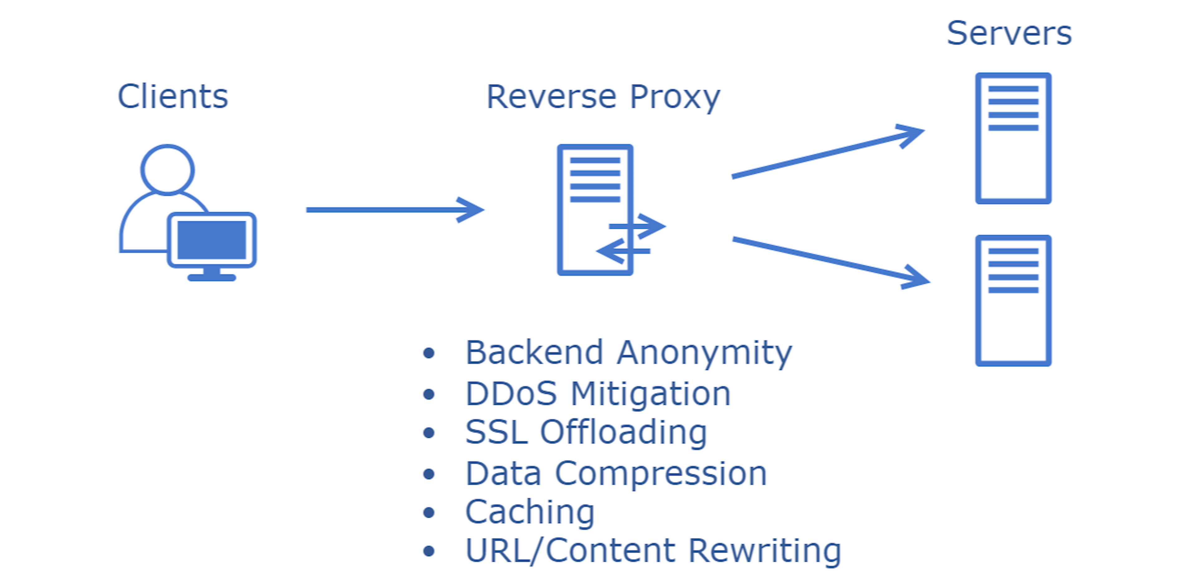 Reverse Proxy