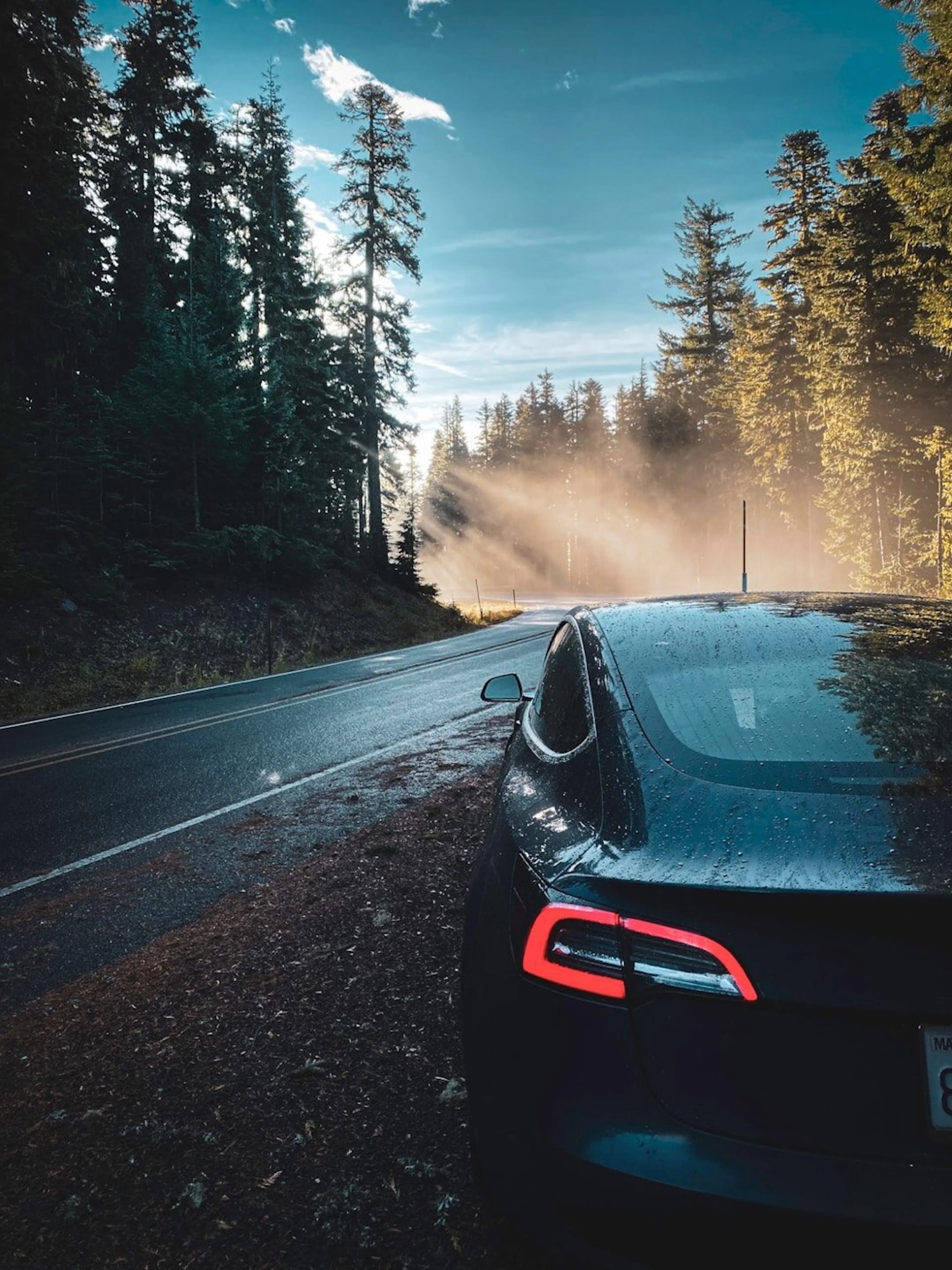 Learn Repo's image-251318
