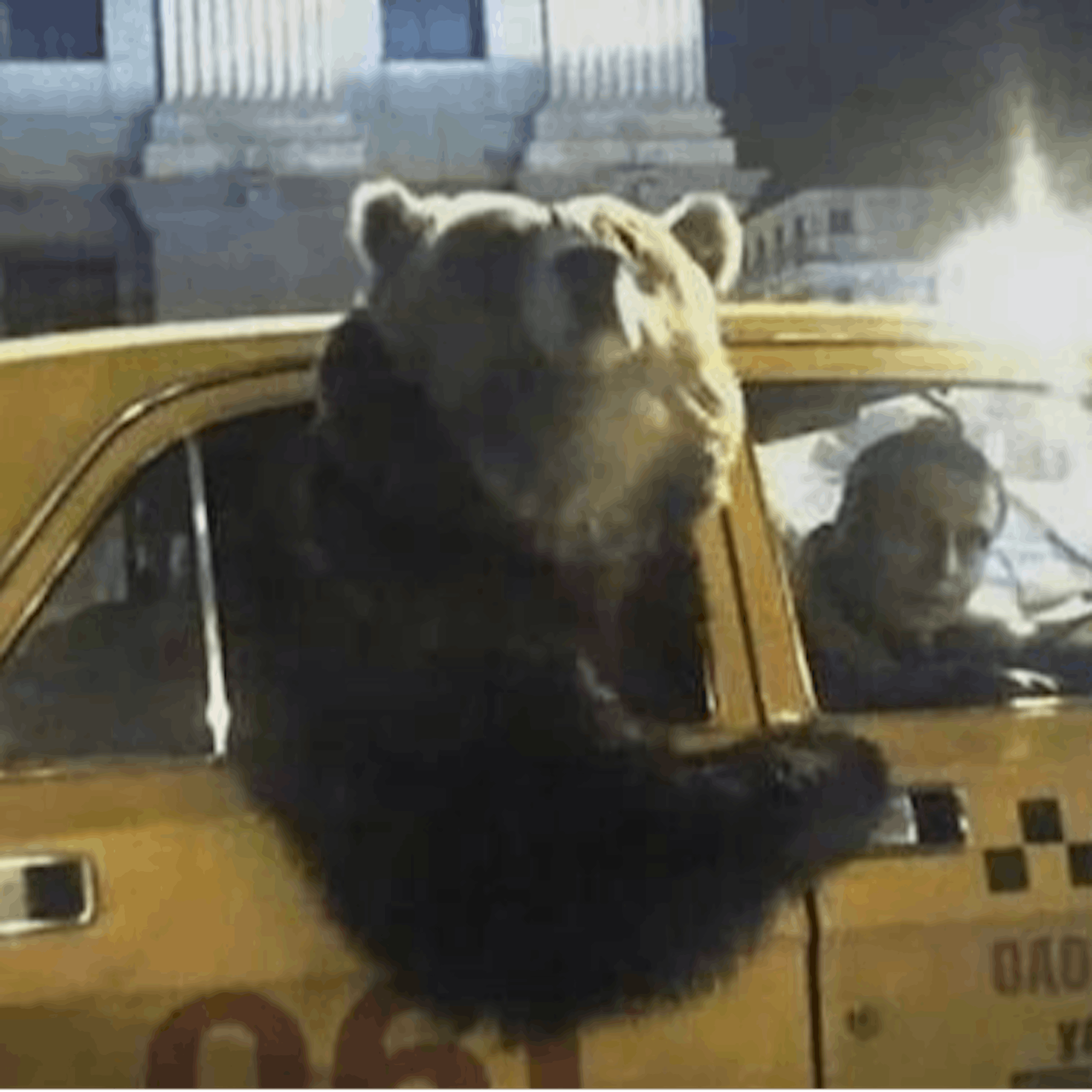 ismail delal HackerNoon profile picture