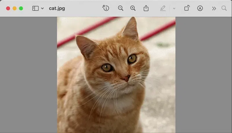 featured image - Més enllà del grep: donar un cervell a la canonada d'Unix amb Qsh