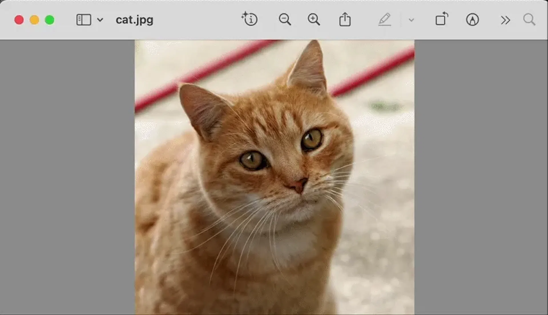 featured image - Beyond Grep: Giving the Unix Pipe a Brain With Qsh