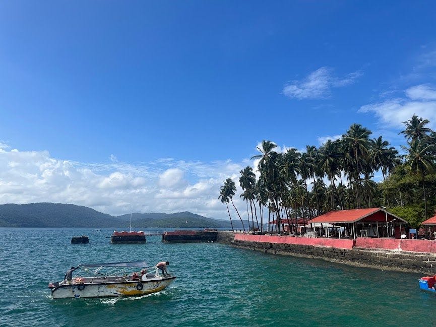 featured image - The Advantages of Using REST API with Amplication for Your NodeJS Apps