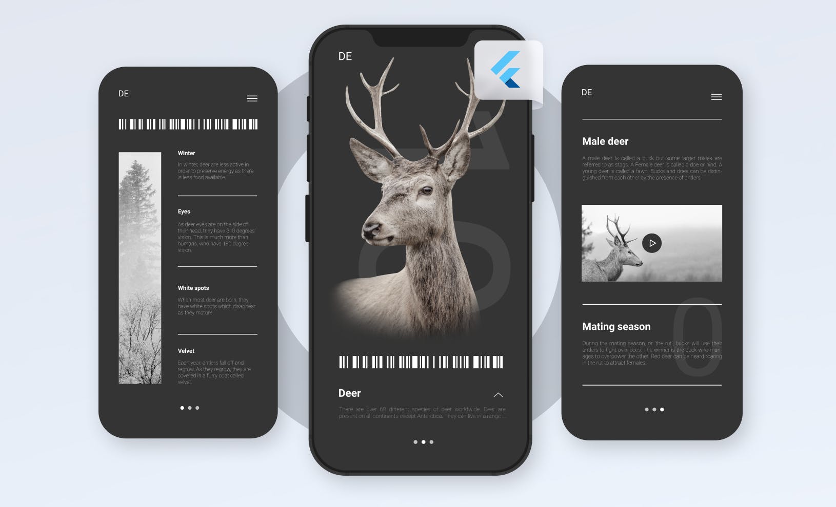 featured image - 7 Benefits of Using Flutter For Your Next Software Development Project
