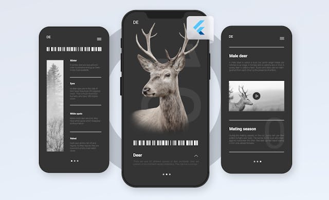 /7-benefits-of-using-flutter-for-your-next-software-development-project-o95b35sd feature image