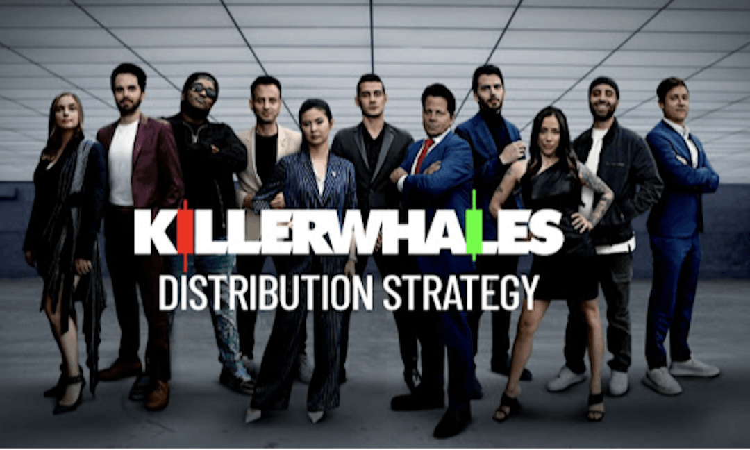 featured image - HELLO Labs Unveils Distribution Strategy For Killer Whales Series