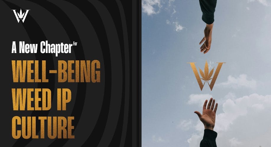 /weed-launches-global-well-being-platform-powered-by-ai feature image