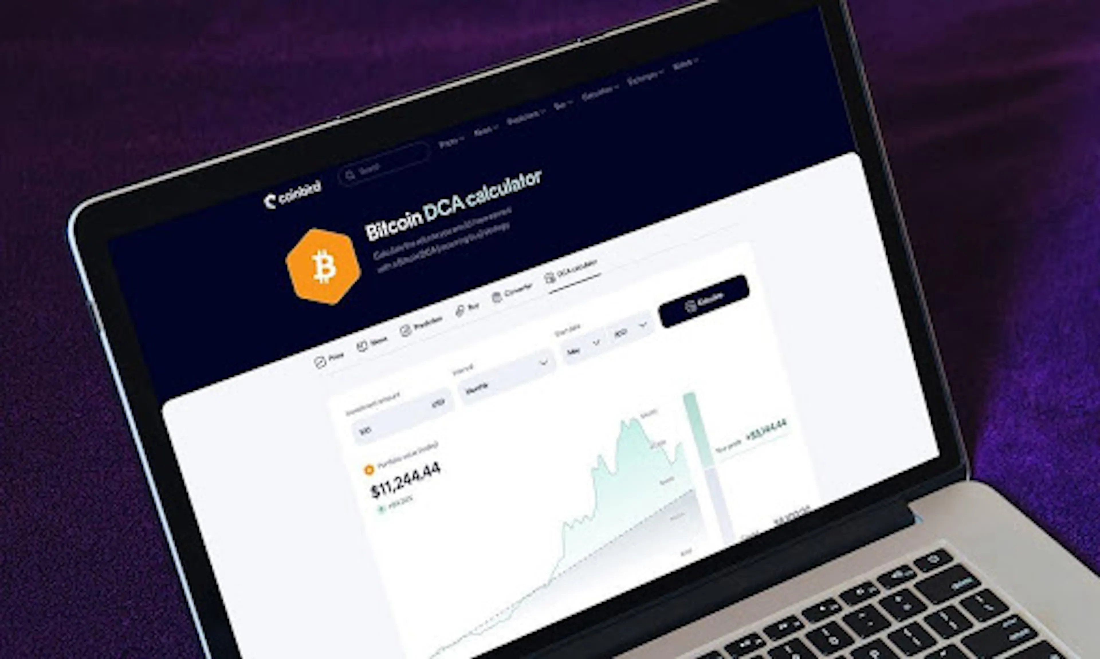 featured image - $100/Month in Bitcoin Since 2015 Would Have Turned $13,700 Into $632,000, Coinbird Analysis Shows
