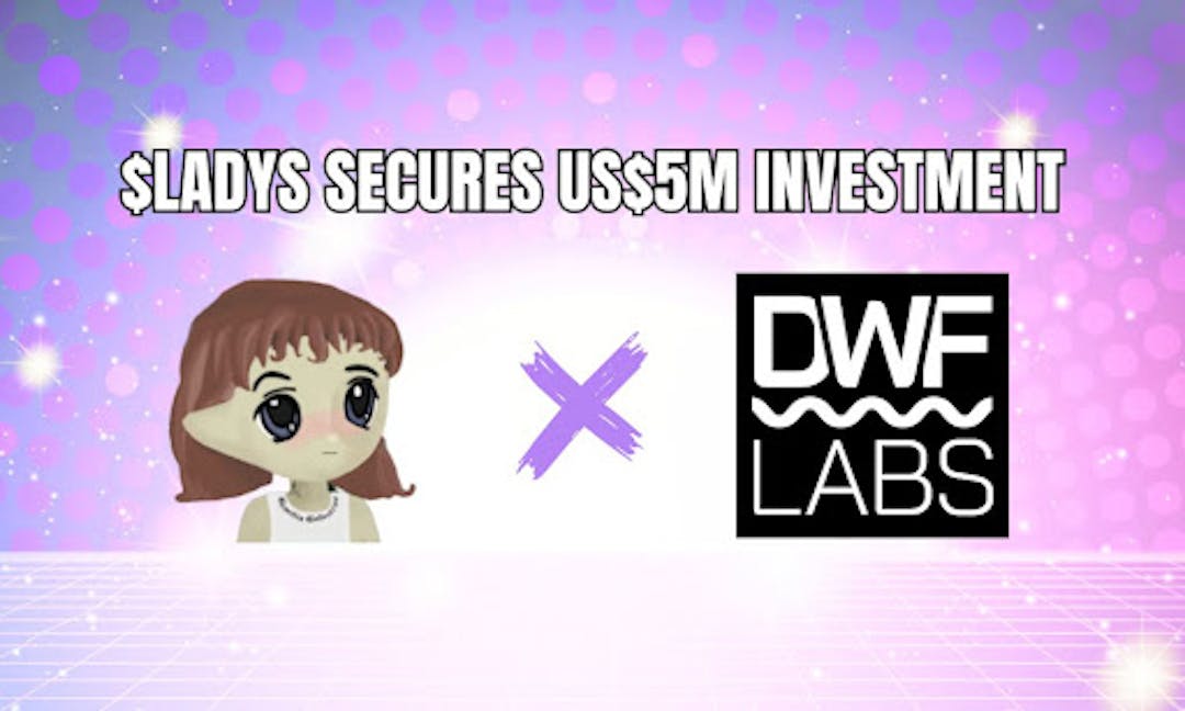 featured image - Milady Meme Coin Secures US$5 Million Investment From DWF Labs