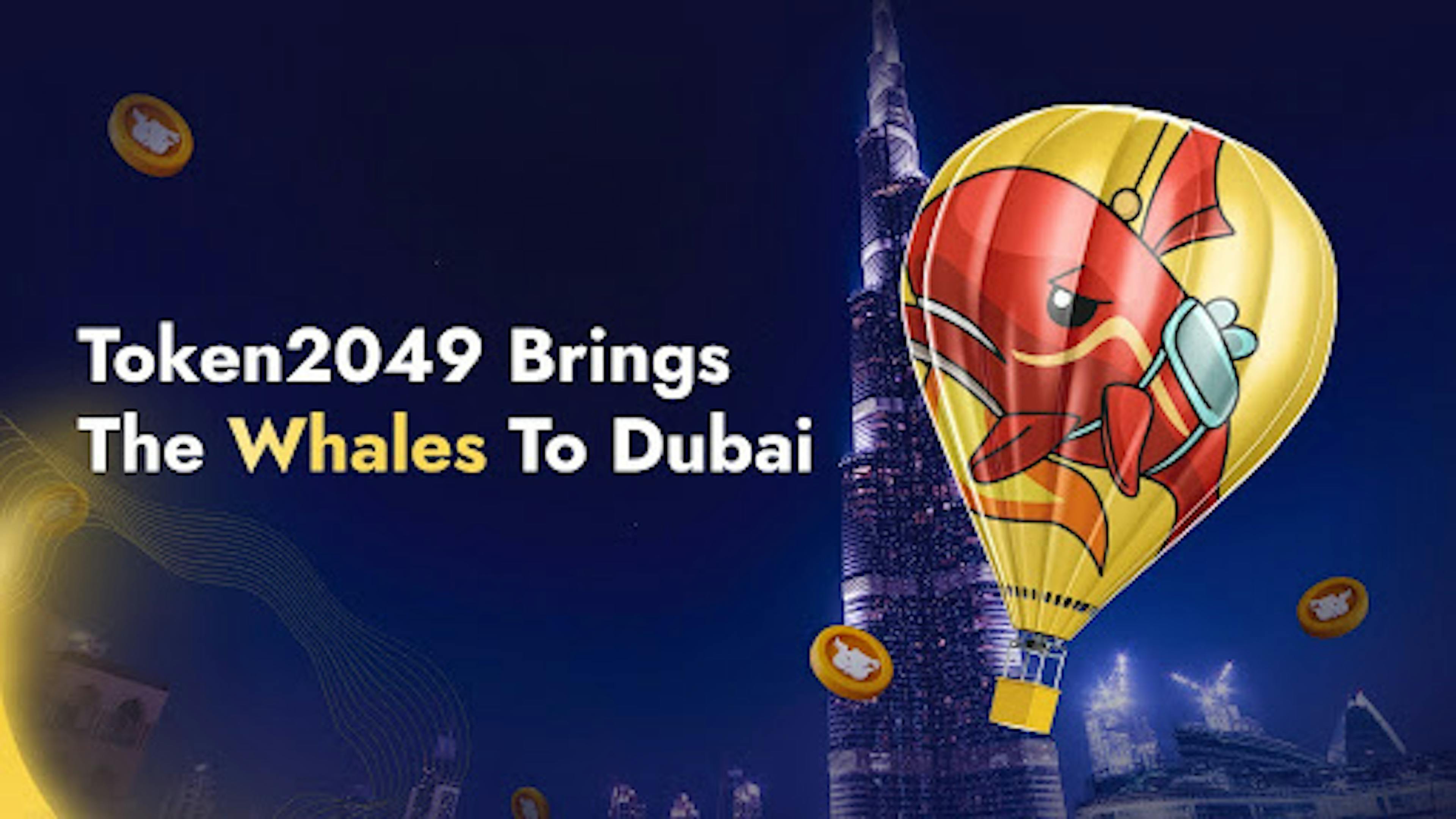 /whaleio-sets-sail-for-token2049-dubai-as-wristband-sponsor-gearing-up-for-$whale-token-launch feature image