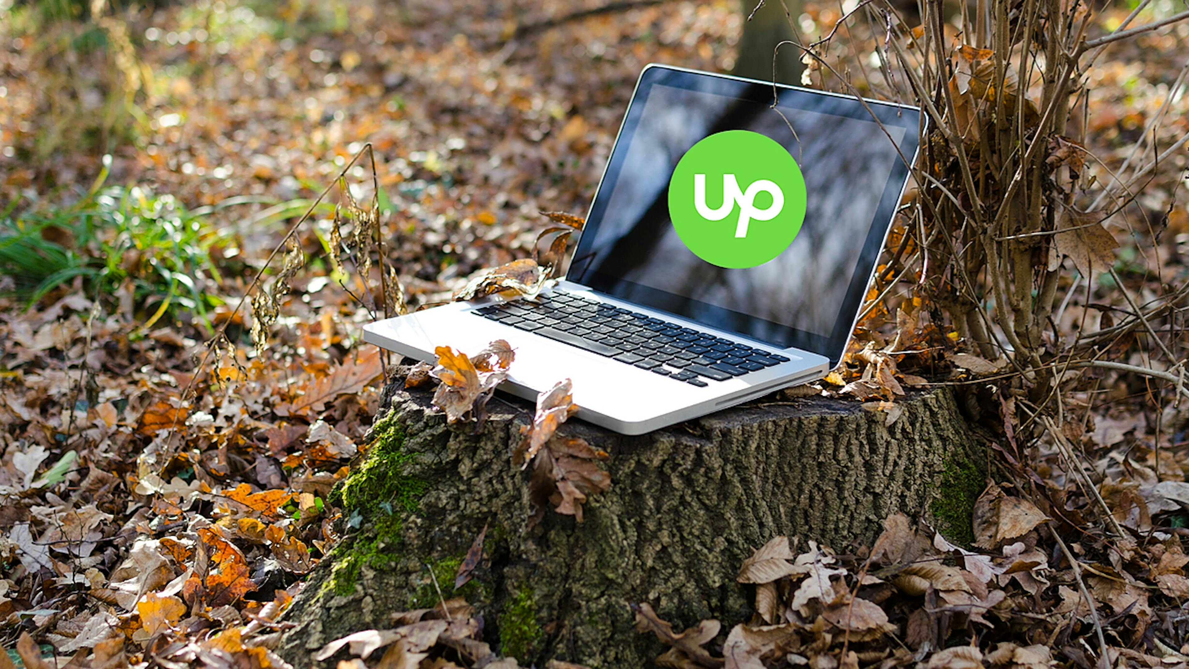 featured image - 5 Upwork Alternative Websites for Freelancers