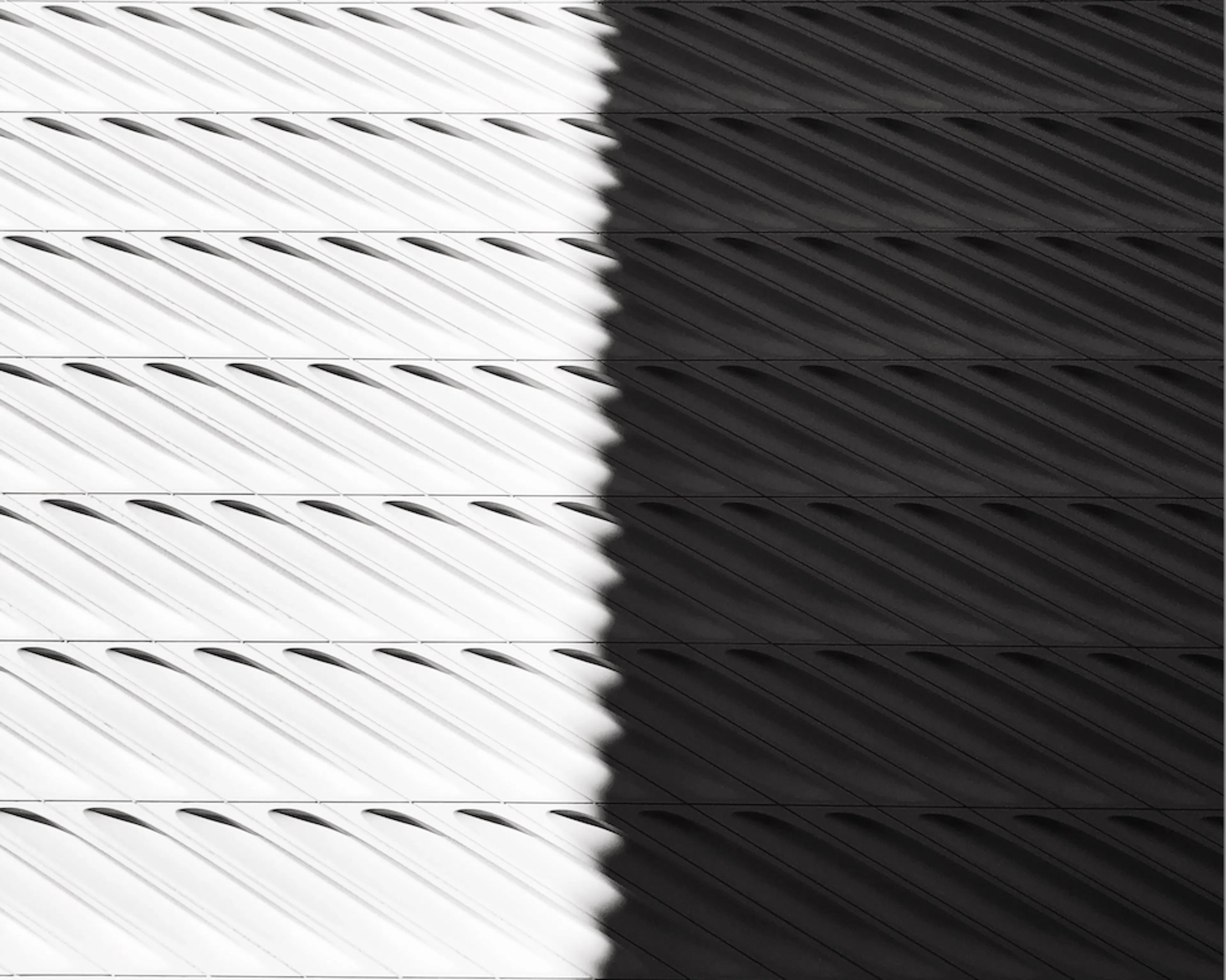 Post image 365