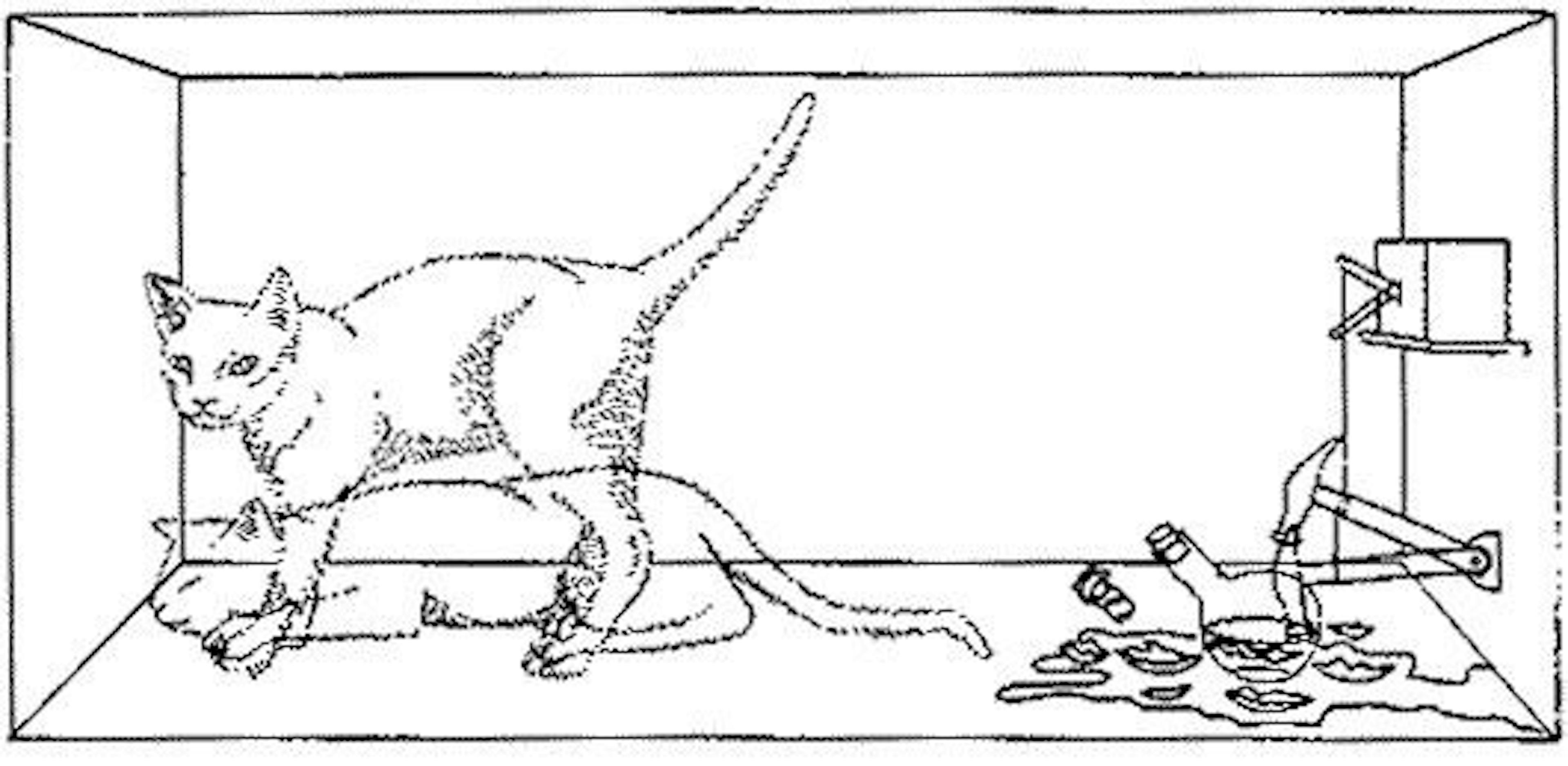 Programmer's Version of Schrodinger’s Cat: Options for JavaScript