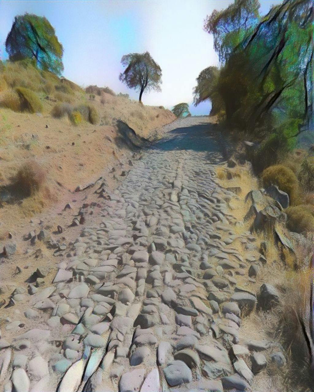 featured image - Disappearing Act: The Acolytes Awaken Sensei