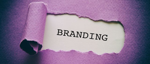 /brand-reputation-and-brand-trust-in-the-age-of-ai feature image