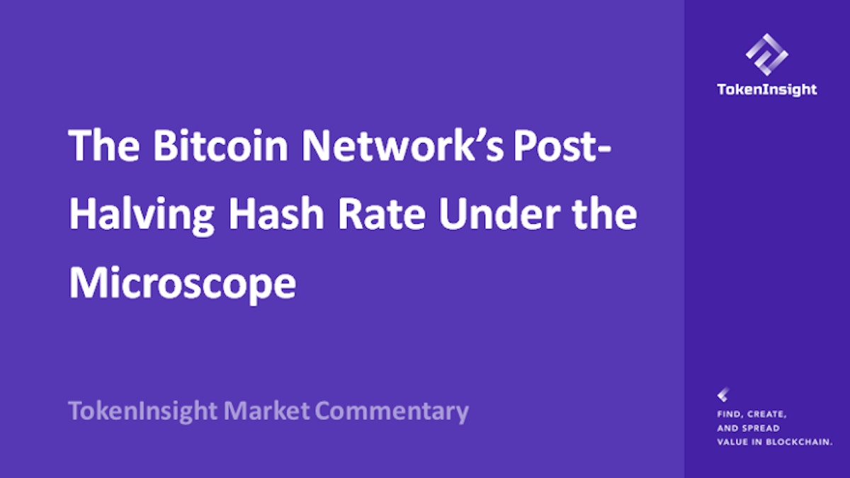 featured image - Bitcoin's Post-Halving Hash Rate [Analyzed]