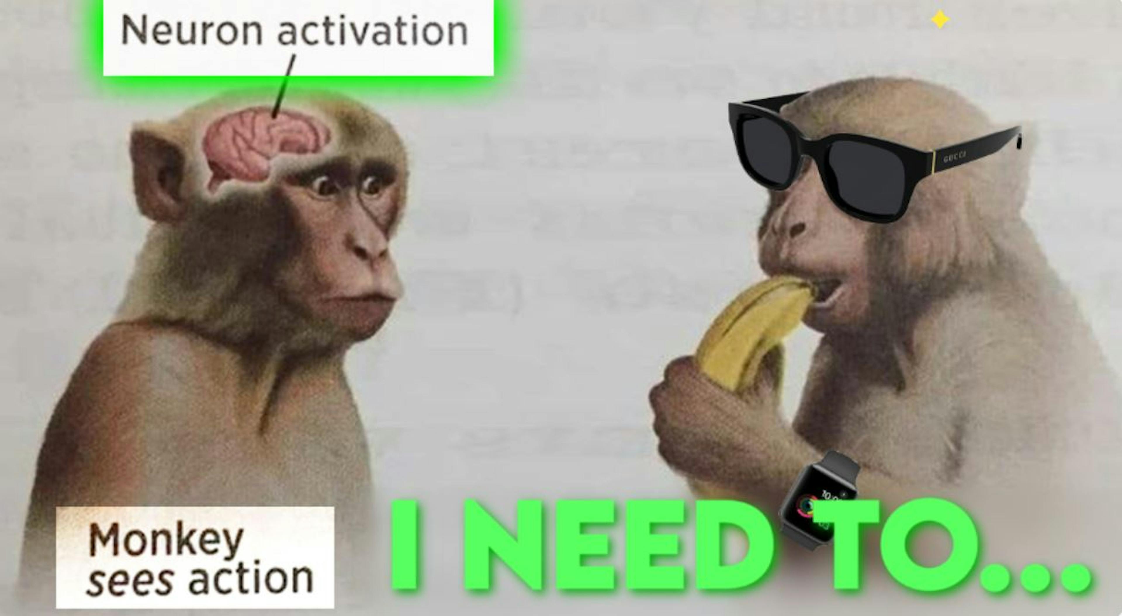 featured image - Action Breeds Clarity