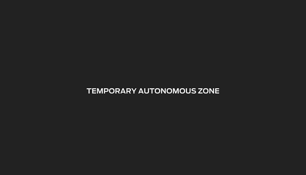 featured image - Temporary Autonomous Security (T.A.S.) Introduction