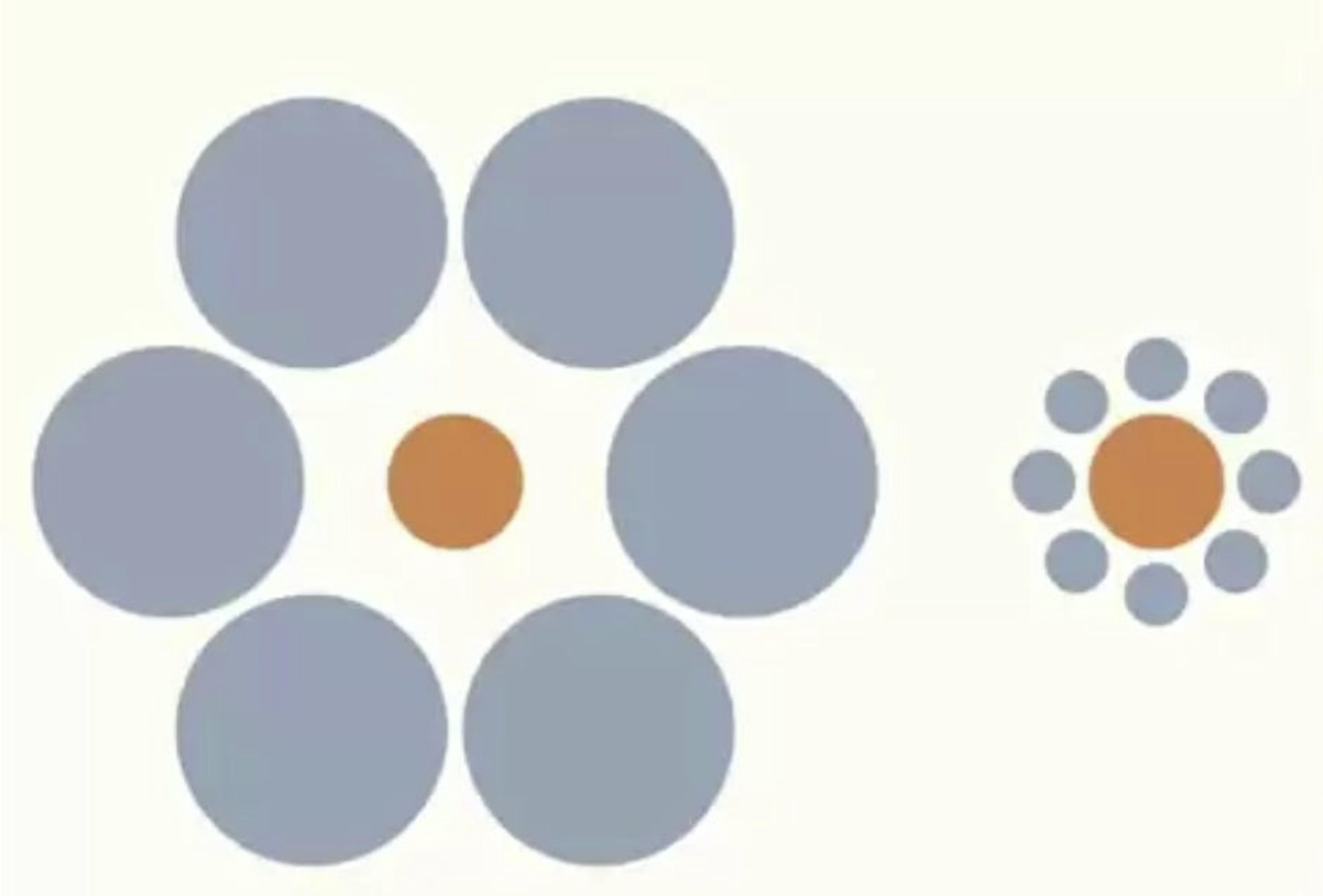 A ilusão de Ebbinghaus. Captura de tela da palestra do Dr. Santos no Coursera