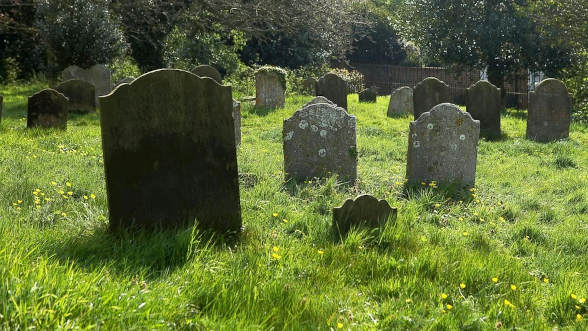 featured image - Credit for the Dead: Inheriting Reputation Beyond Life
