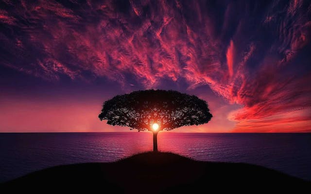 /maximizing-business-value-with-strategic-multi-cloud-connectivity feature image