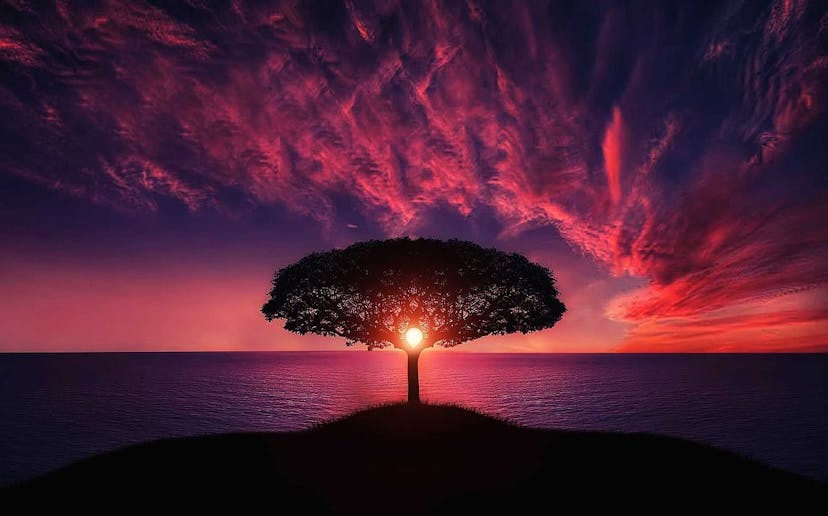 /maximizing-business-value-with-strategic-multi-cloud-connectivity feature image