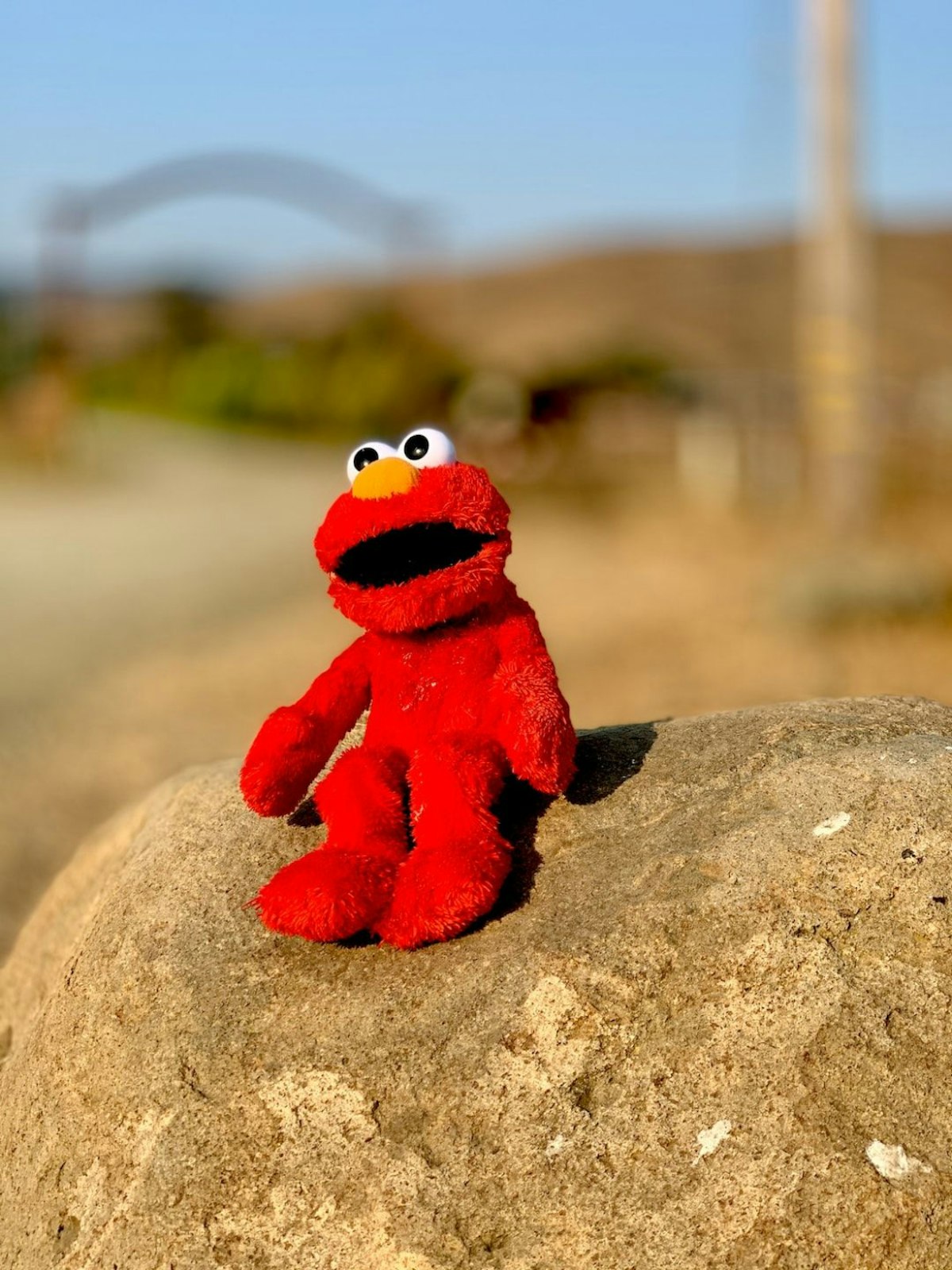 featured image - Elmo Checks In, Everything Is Not Okay: A Lesson in Empathy for Brands