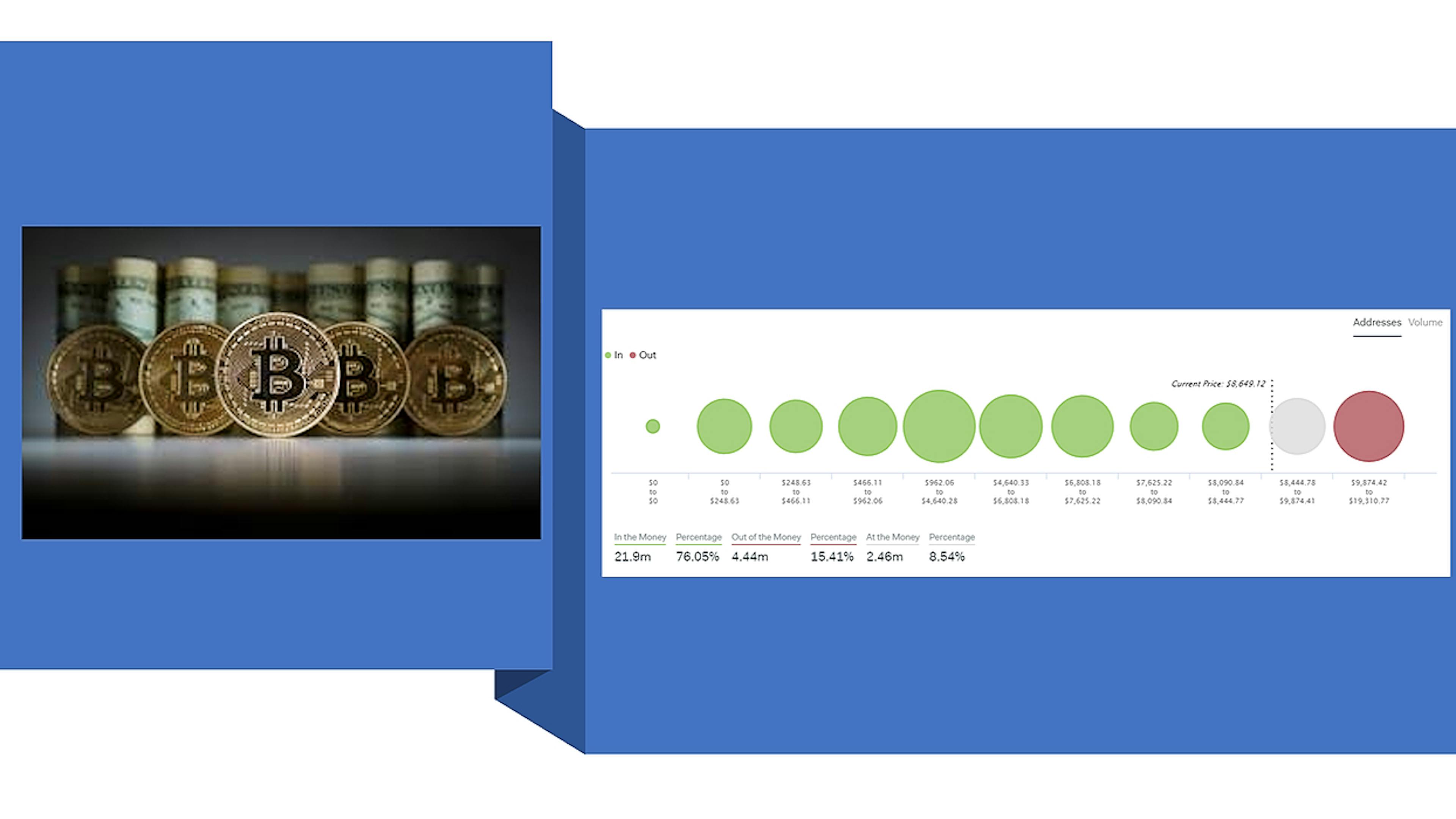 featured image - Things I Can Learn From Knowing Who is Making and Loosing Money in Crypto-Assets