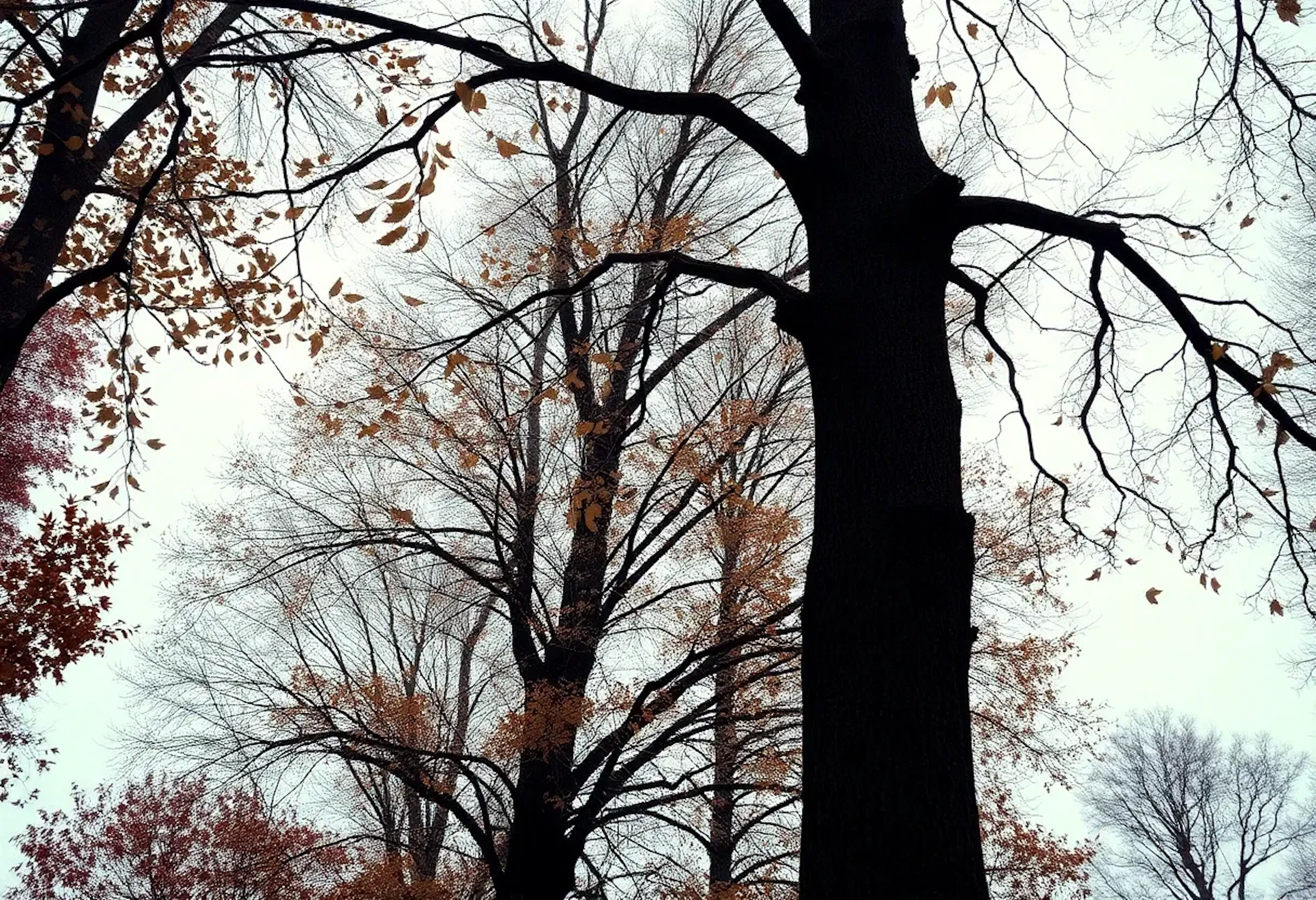 featured image - Integer-Based CFG Tree Counting: What You Need to Know