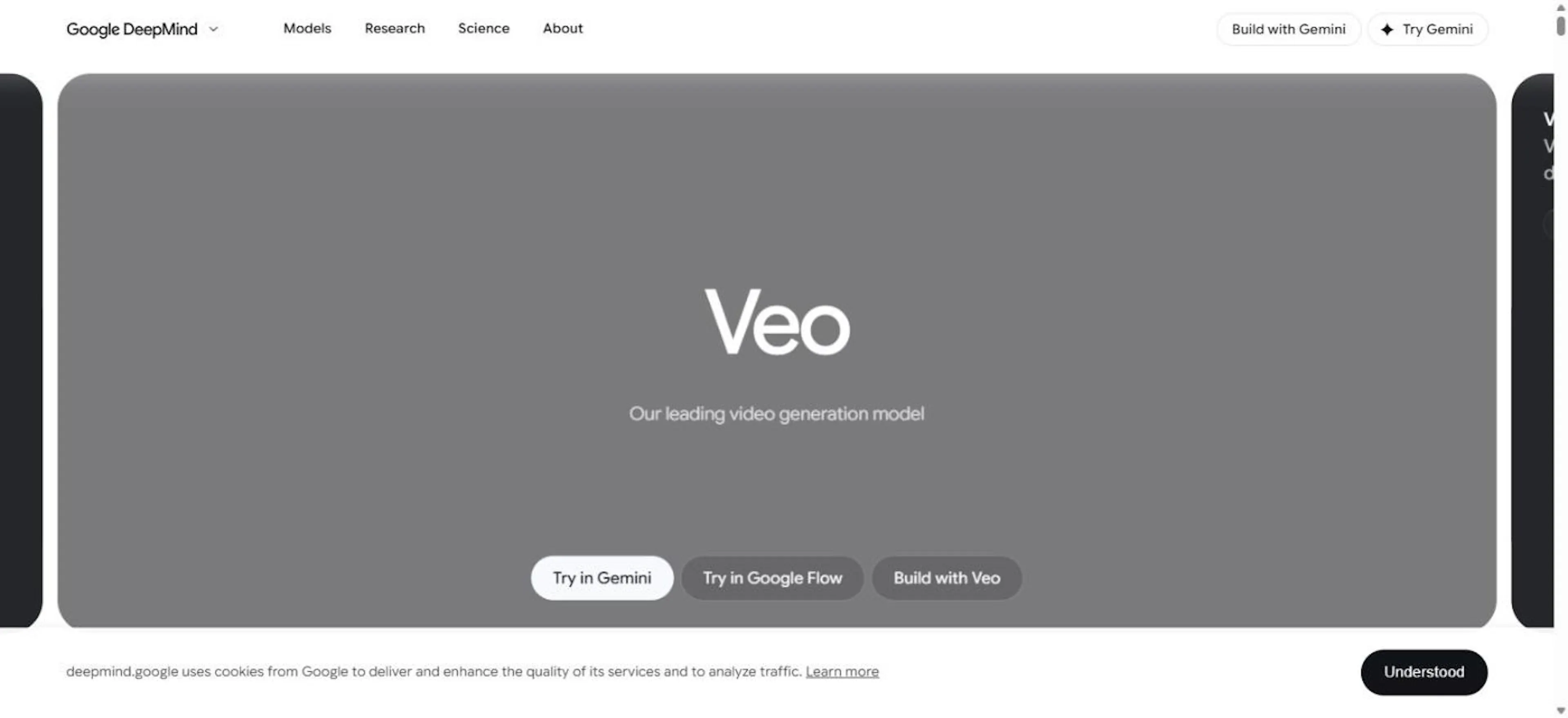 Veo, credit: deepmind.google