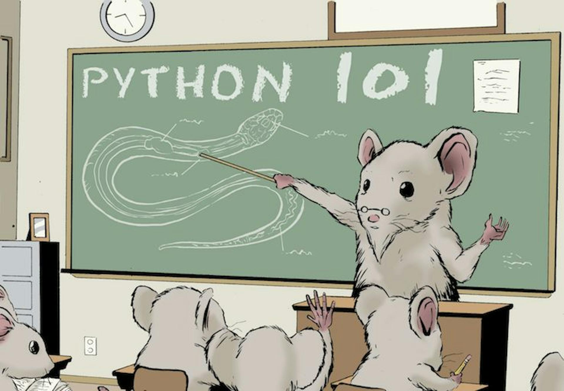 featured image - Mastering Integers in Python: A Comprehensive Beginner's Guide