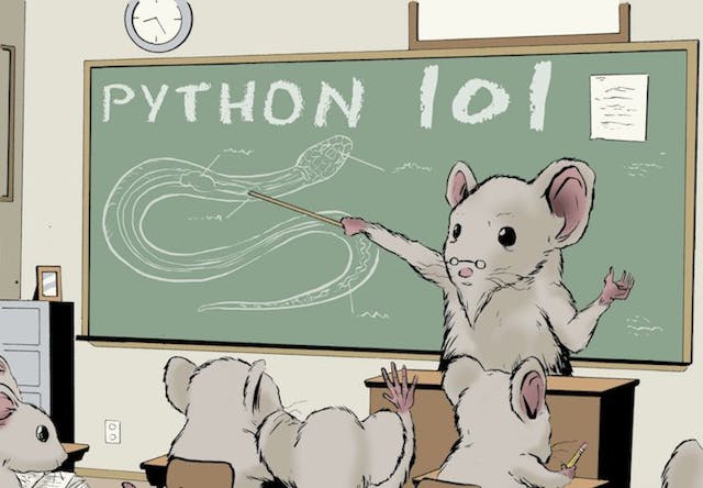 /mastering-integers-in-python-a-comprehensive-beginners-guide feature image
