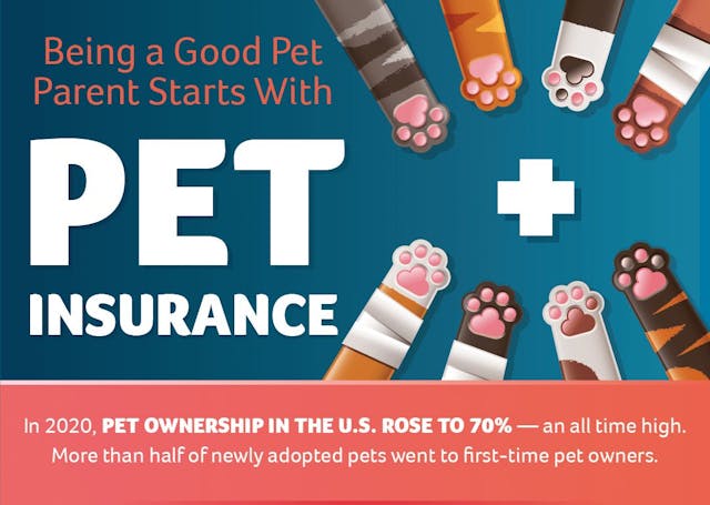 /hacking-the-pet-parenting-process-infographic feature image