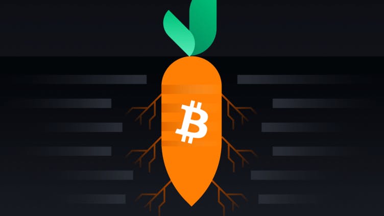 featured image - A Makeover that Changes Everything: The Bitcoin Taproot Update