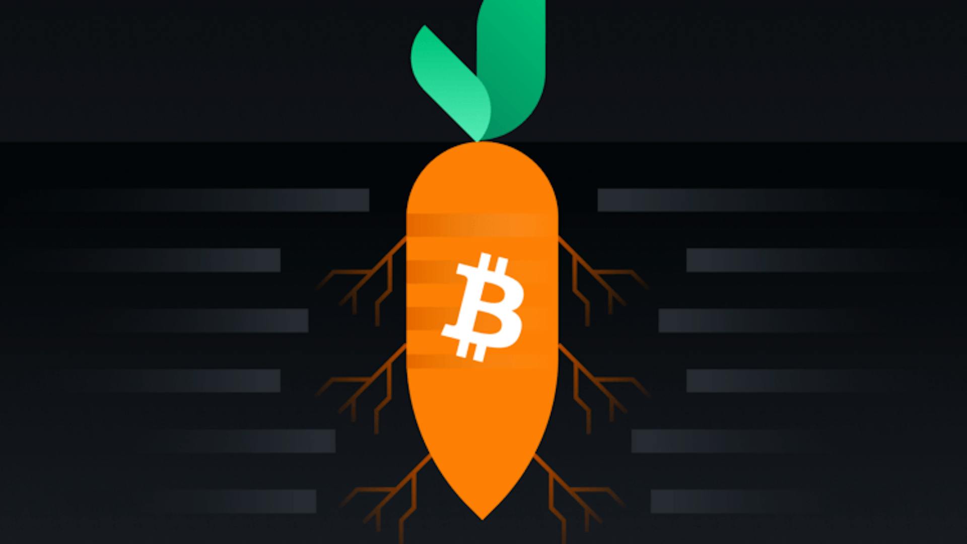 featured image - A Makeover that Changes Everything: The Bitcoin Taproot Update