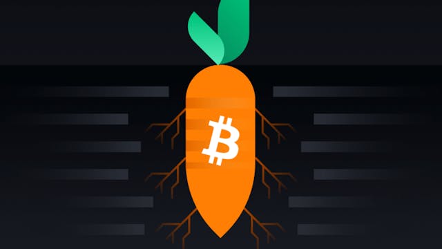 /a-makeover-that-changes-everything-the-bitcoin-taproot-update-hu1932jh feature image