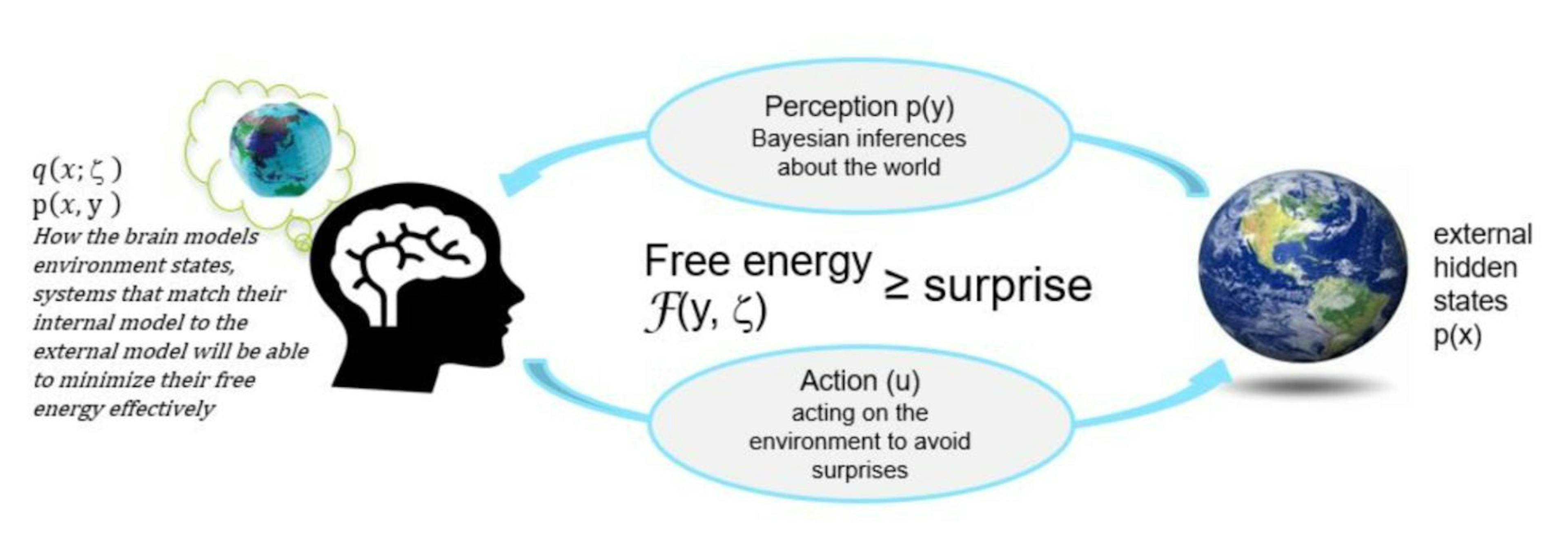 https://www.kaggle.com/code/charel/learn-by-example-active-inference-in-the-brain-1