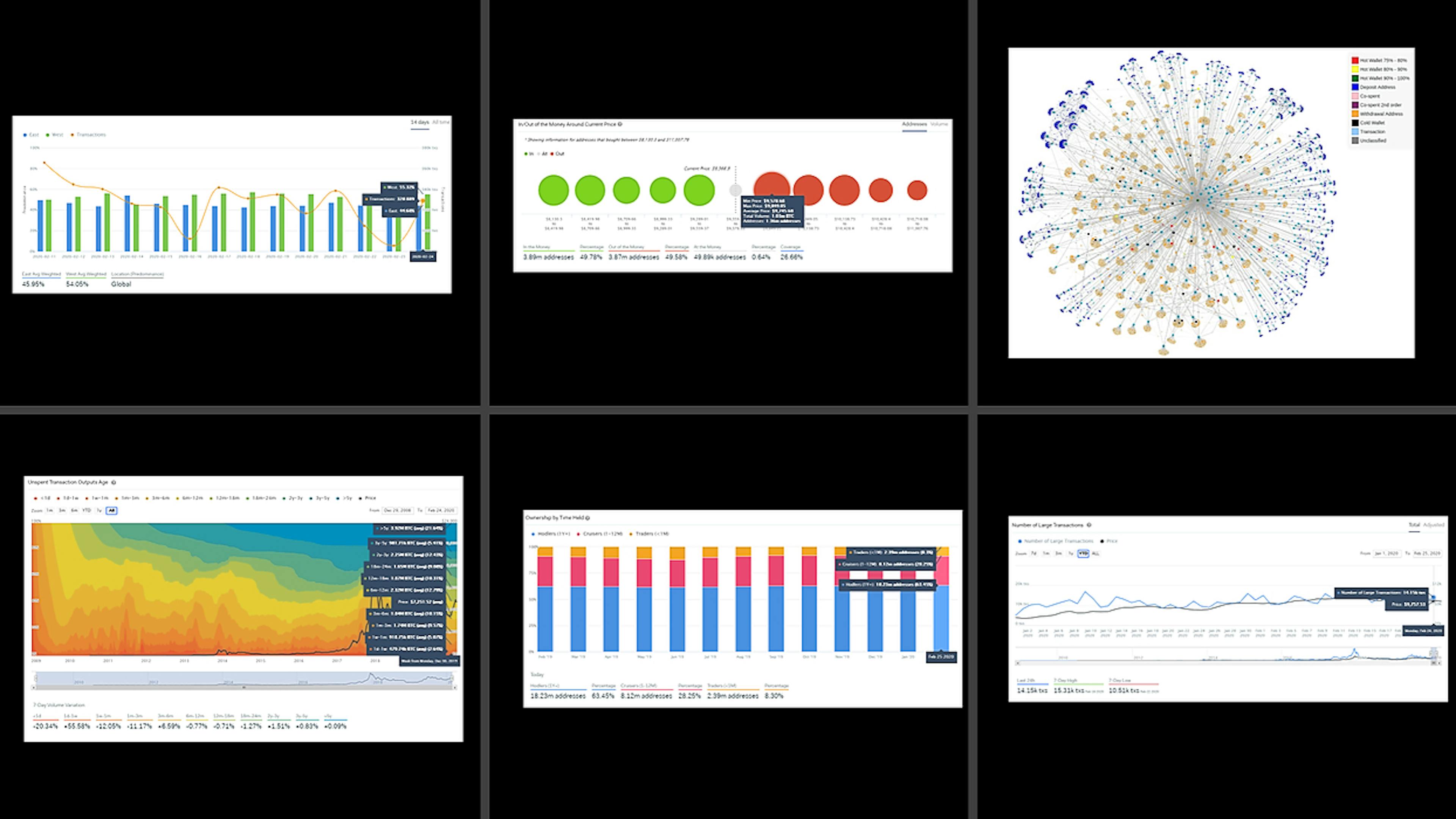 featured image - Who Owns Bitcoin?