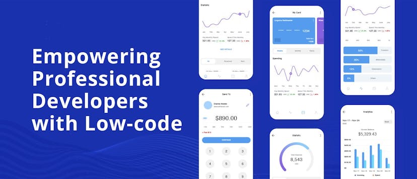 /empowering-professional-developers-with-low-code feature image