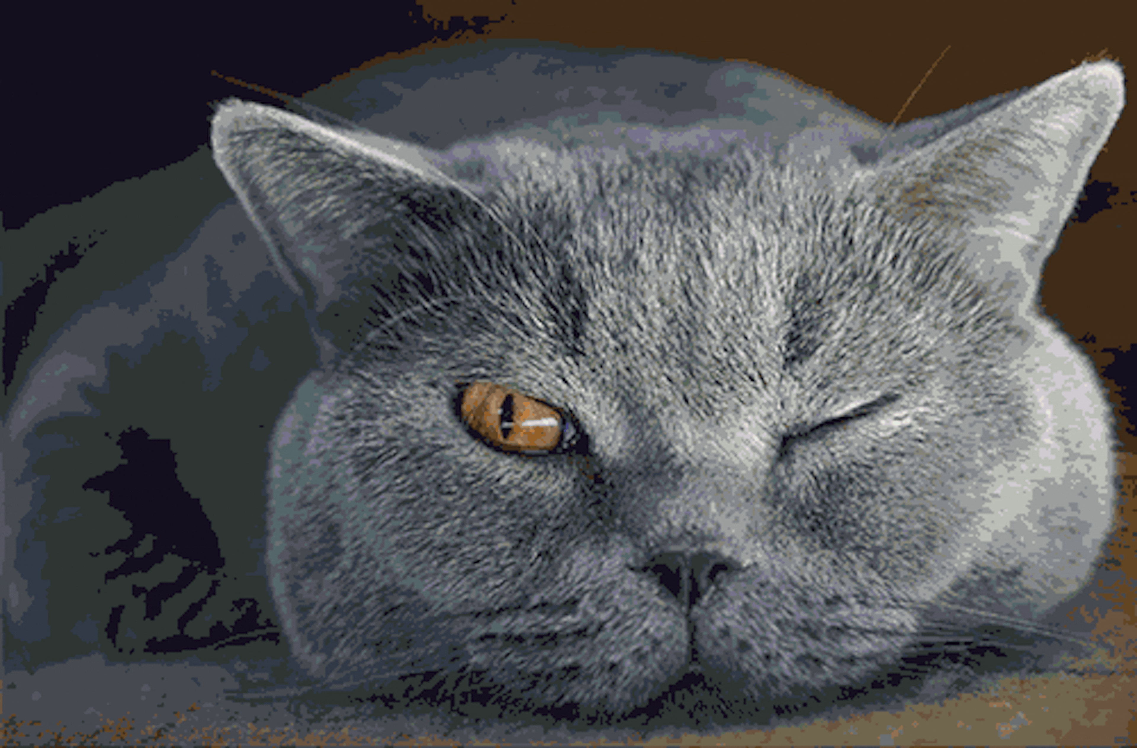 /how-to-work-from-home-8l12m3wdh feature image